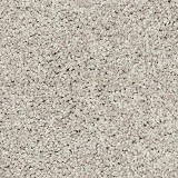 Mohawk Carpet
Soft Direction I